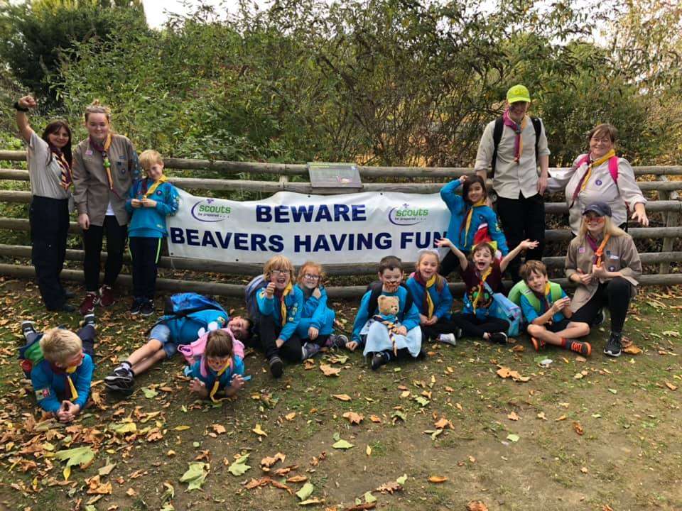 Medway Beavers, Hit Wingham Wildlife Park